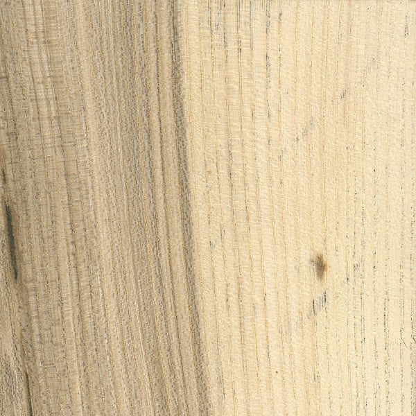 Hackberry