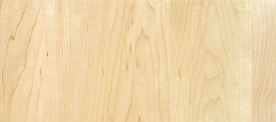 Hard Maple