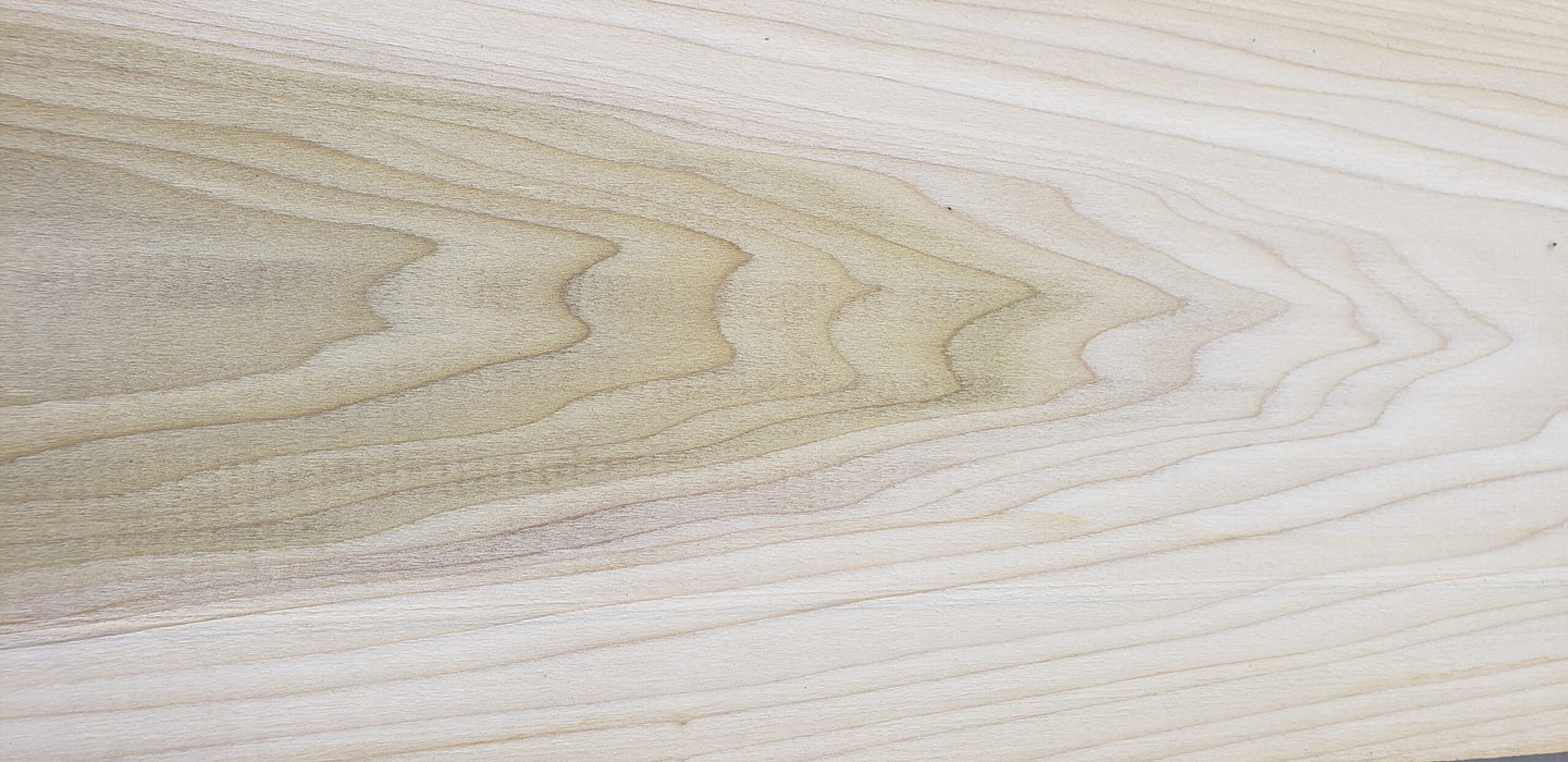 Poplar