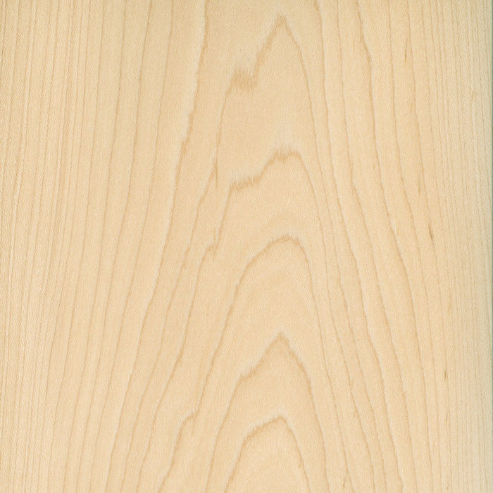 Silver Soft Maple