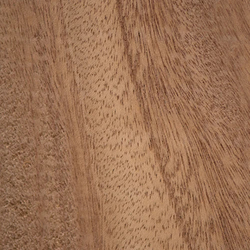 African Mahogany