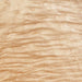 Curly Maple