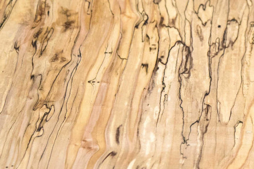 Spalted Maple